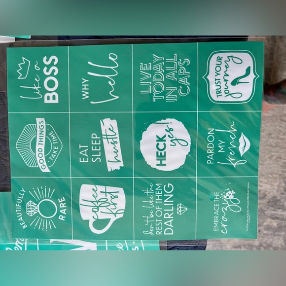 Chalk couture screen print transfers- not a rep - Picture 10 of 16